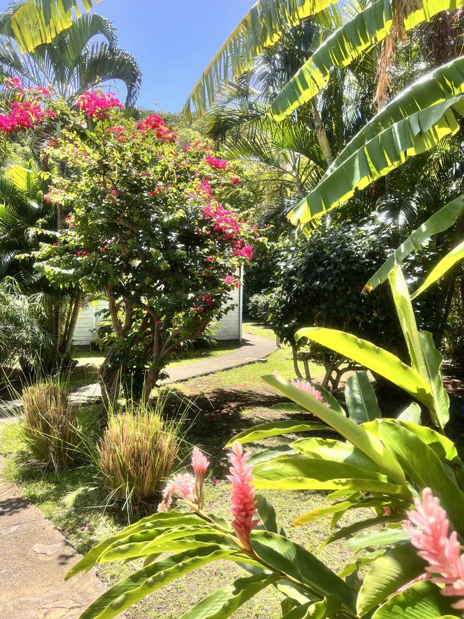 Baz Creole Villa Deshaies Buitenkant foto