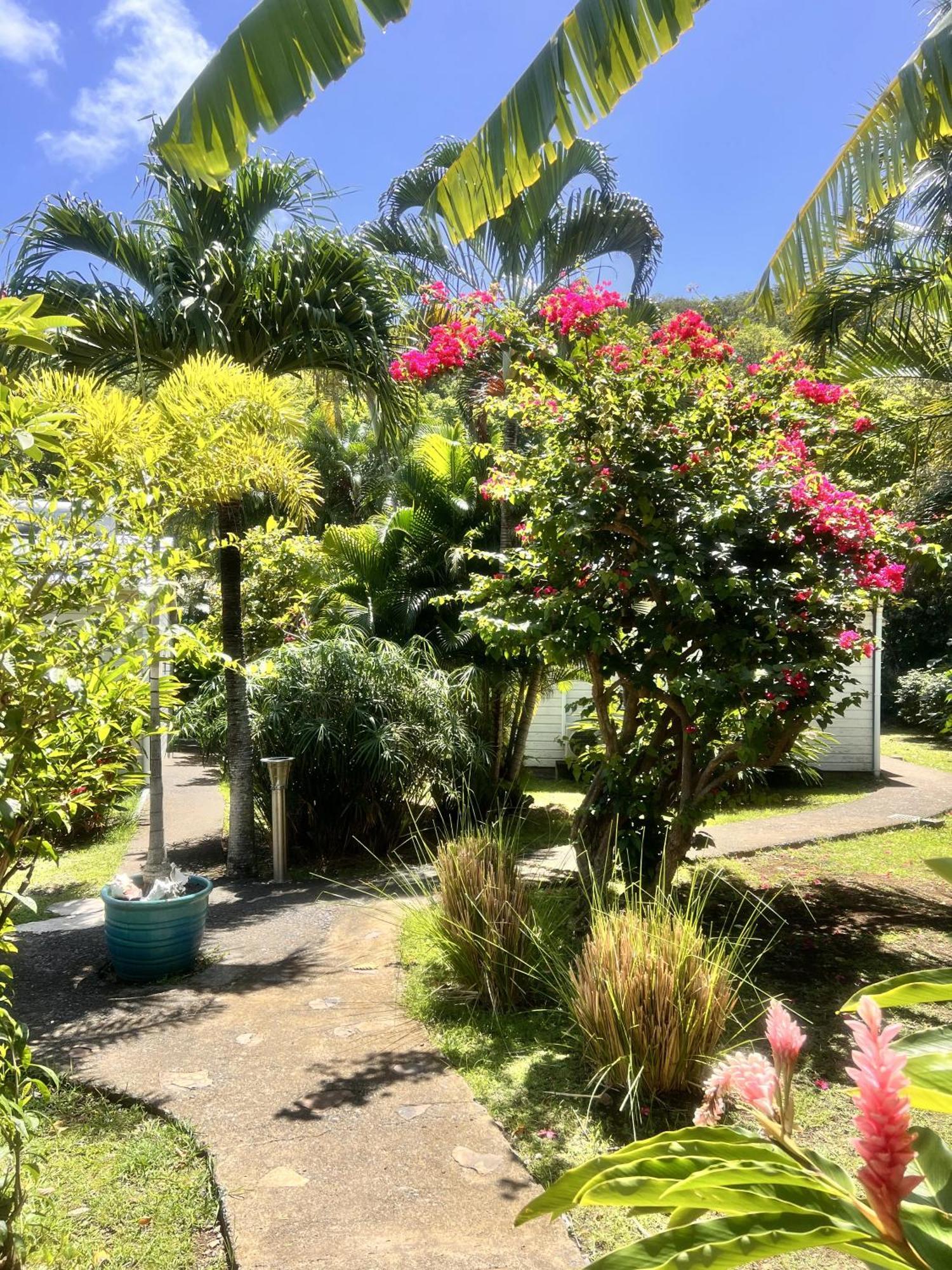 Baz Creole Villa Deshaies Buitenkant foto