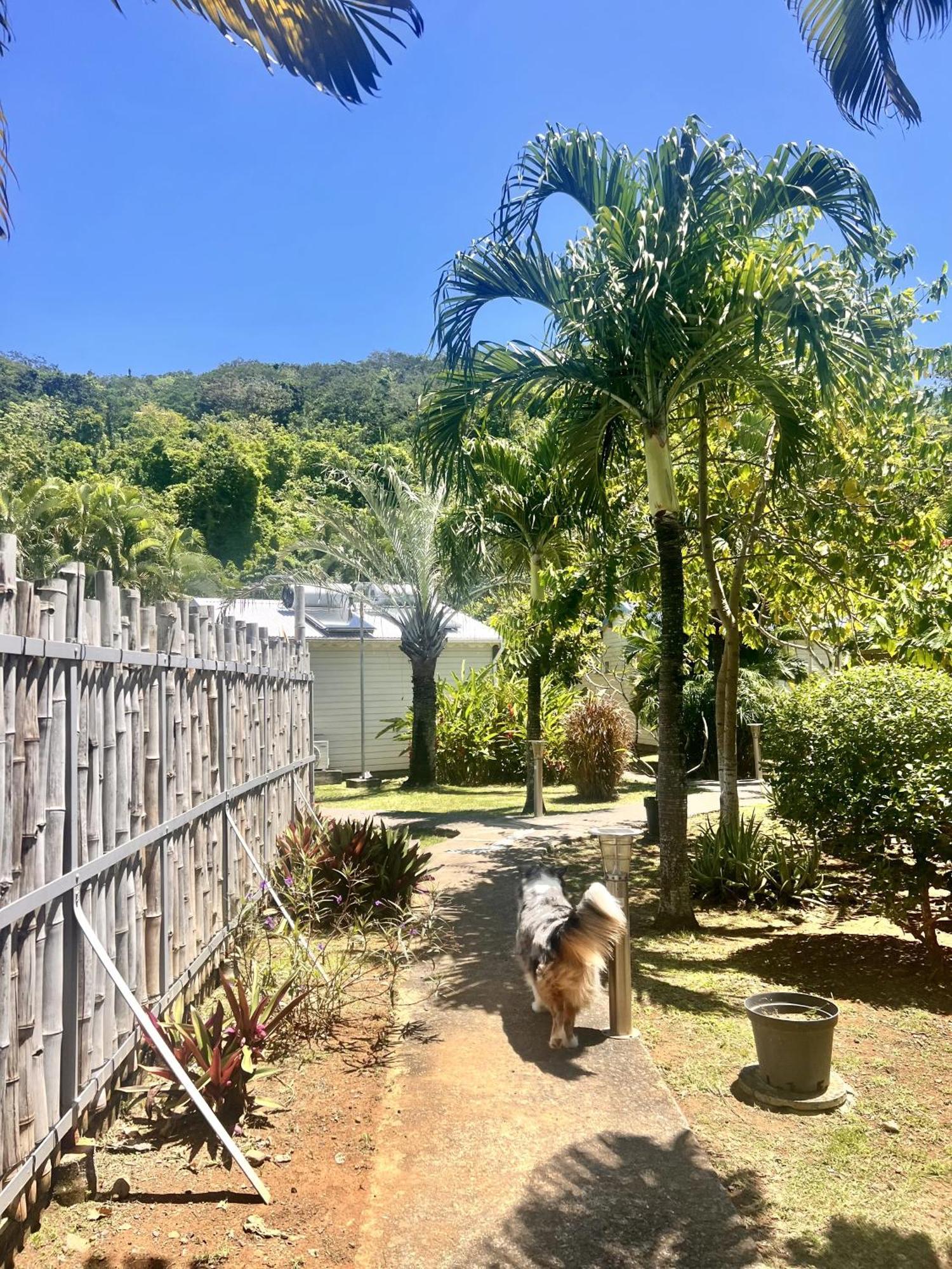 Baz Creole Villa Deshaies Buitenkant foto