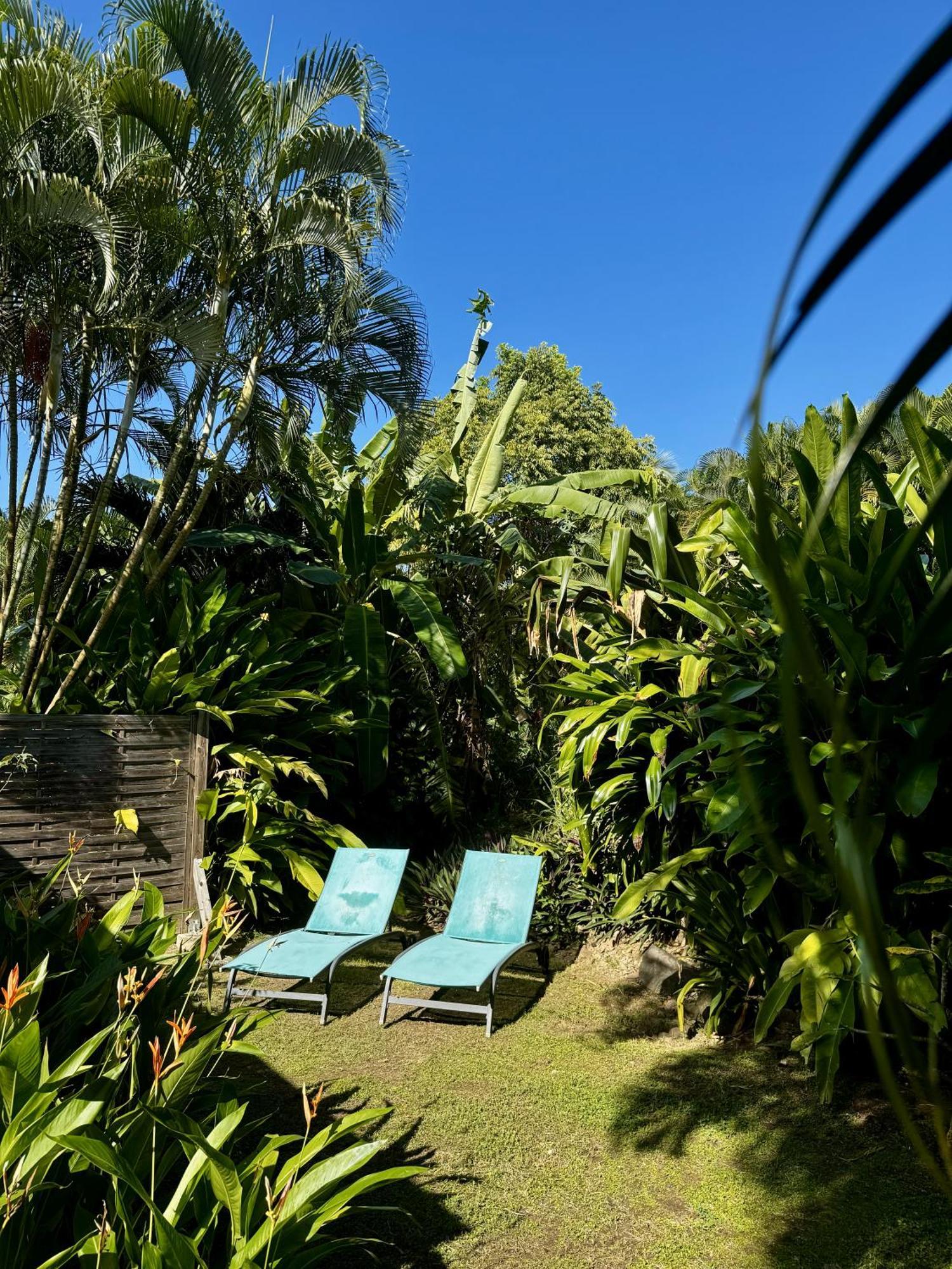Baz Creole Villa Deshaies Buitenkant foto